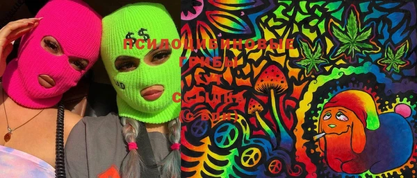 марки lsd Новозыбков