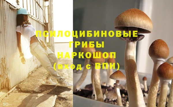 марки lsd Новозыбков