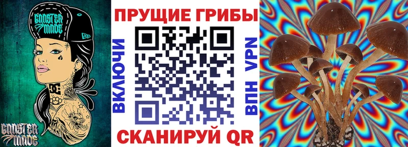 Галлюциногенные грибы ЛСД где купить наркоту Апрелевка